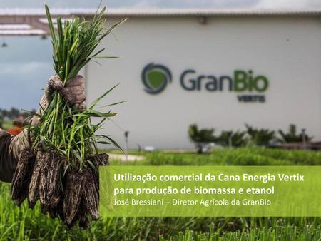 Utilização comercial da Cana Energia Vertix para produção de biomassa e etanol José Bressiani – Diretor Agrícola da GranBio.