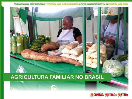 AGRICULTURA FAMILIAR NO BRASIL