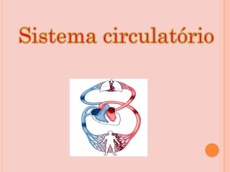 Sistema circulatório.