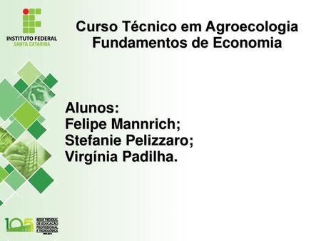 Curso Técnico em Agroecologia Fundamentos de Economia