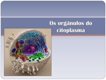 Os orgânulos do citoplasma