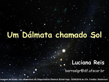 Um Dálmata chamado Sol Luciana Reis