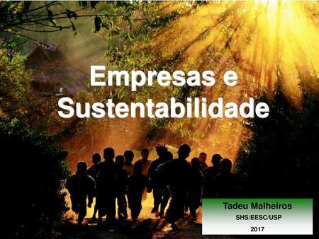 Empresas e Sustentabilidade Tadeu Malheiros SHS/EESC/USP