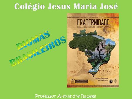 Colégio Jesus Maria José