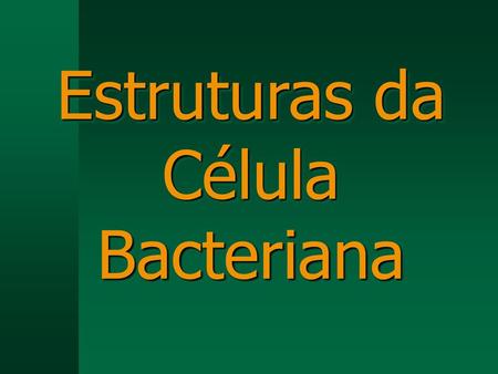 Estruturas da Célula Bacteriana