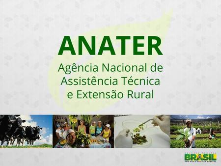 Atuação da ANATER Assistência técnica ao produtor rural em todas as etapas da produção. Atuação integrada com a Embrapa para a transferência de tecnologia.