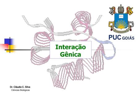 Interação Gênica Dr. Cláudio C. Silva Ciências Biológicas.