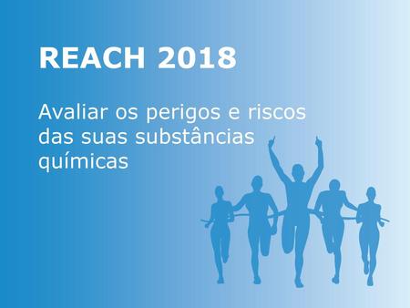 REACH 2018 Avaliar os perigos e riscos das suas substâncias químicas.