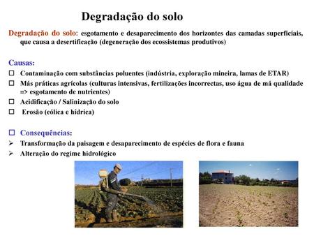 Degradação do solo Degradação do solo: esgotamento e desaparecimento dos horizontes das camadas superficiais, que causa a desertificação (degeneração dos.