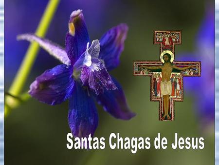 Santas Chagas de Jesus.