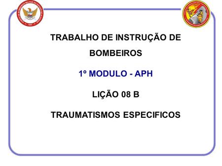 TRABALHO DE INSTRUÇÃO DE BOMBEIROS TRAUMATISMOS ESPECIFICOS