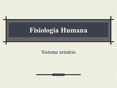 Fisiologia Humana Sistema urinário.