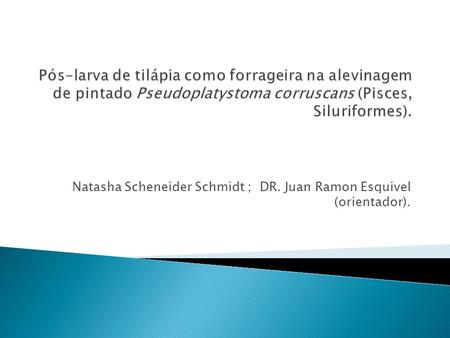 Natasha Scheneider Schmidt ; DR. Juan Ramon Esquivel (orientador).