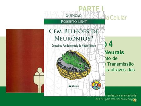 Capítulo 4 PARTE I Neurociência Celular Os Chips Neurais