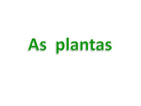 As plantas.