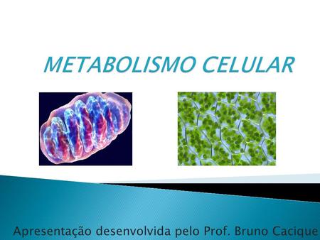 Apresentação desenvolvida pelo Prof. Bruno Cacique