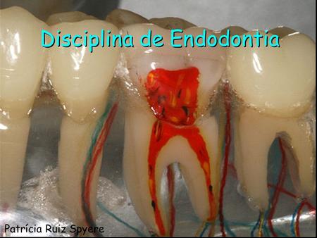 Disciplina de Endodontia