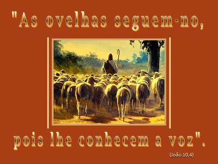 As ovelhas seguem-no, pois lhe conhecem a voz.