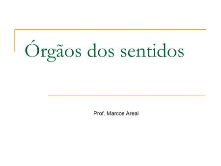 Órgãos dos sentidos Prof. Marcos Areal.