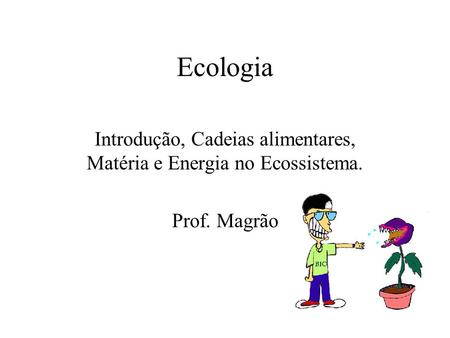 Introdução, Cadeias alimentares, Matéria e Energia no Ecossistema.