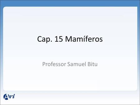 Cap. 15 Mamíferos Professor Samuel Bitu.