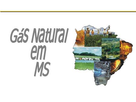2005 Gás Boliviano: 40.000 Mm³/d Gás Argentino: 9.200 Mm³/d Produção Nacional: 43.367 Mm³/d Gás Natural Liquefeito: 4.000 Mm³/d TOTAL: 96.567 Mm³/d Consumo.