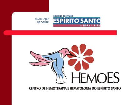 HEMOES. HEMOES Nossa Missão Coordenar e executar as políticas estaduais relativas à Hematologia e Hemoterapia em consonância com a política do Ministério.