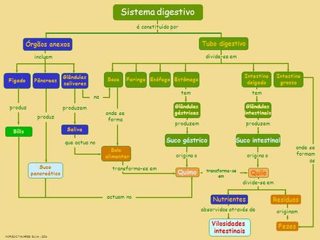 Sistema digestivo Órgãos anexos Tubo digestivo Suco gástrico