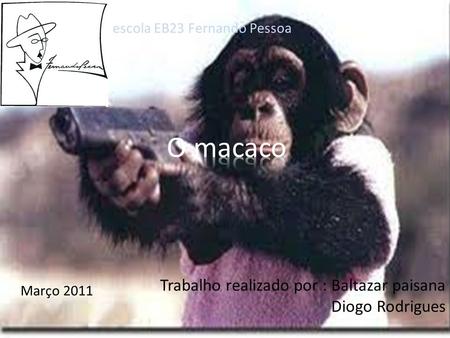 O macaco Trabalho realizado por : Baltazar paisana Diogo Rodrigues
