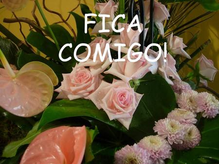 FICA COMIGO!.