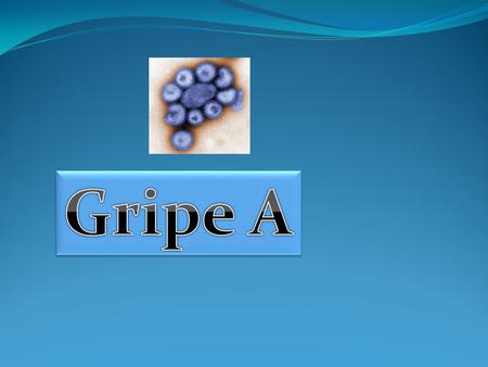 Gripe A.