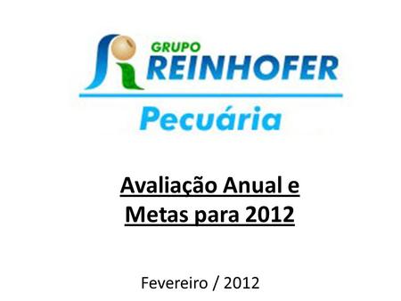 Avaliação Anual e Metas para 2012 Fevereiro / 2012.