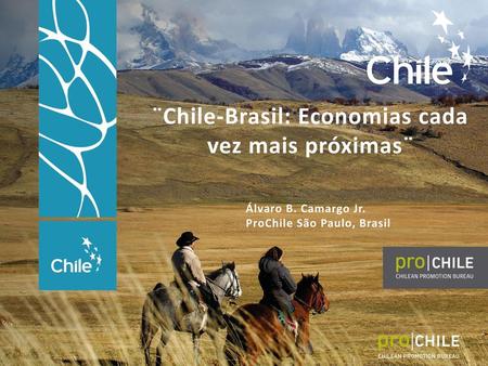 ¨Chile-Brasil: Economias cada vez mais próximas¨
