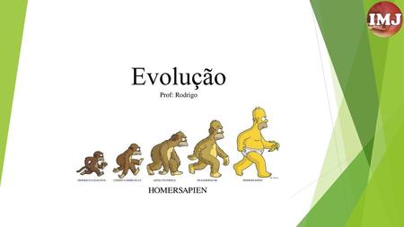 Evolução Prof: Rodrigo.