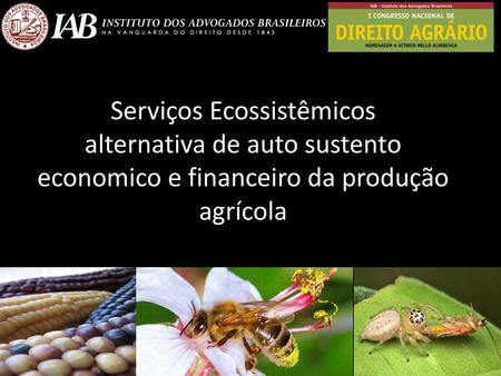 Serviços Ecossistêmicos alternativa de auto sustento economico e financeiro da produção agrícola.