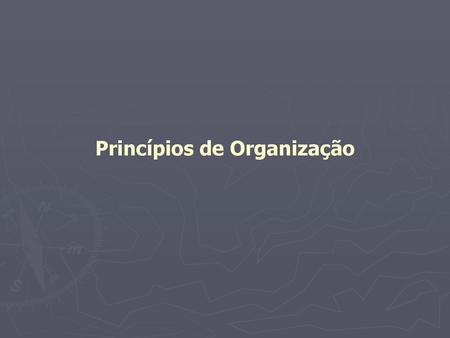 Princípios de Organização