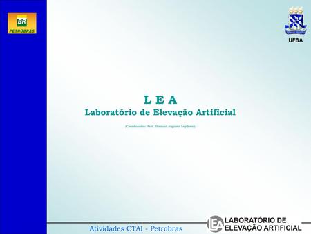 L E A Laboratório de Elevação Artificial (Coordenador: Prof