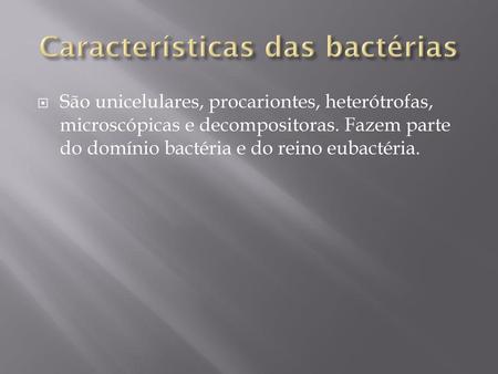 Características das bactérias
