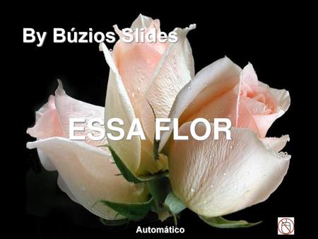 By Búzios Slides ESSA FLOR Automático.