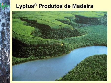 LYPTUS a Opção Em Madeira Para Móveis Que Preserva a Floresta Nativa