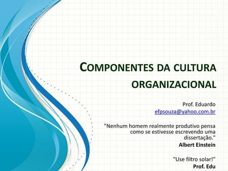 Componentes da cultura organizacional