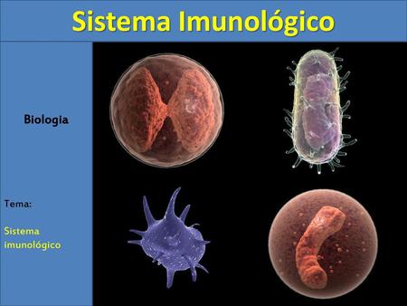 Sistema Imunológico Biologia Tema: Sistema imunológico.