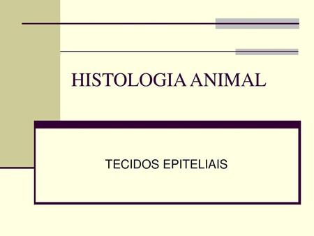 HISTOLOGIA ANIMAL TECIDOS EPITELIAIS.