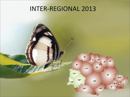INTER-REGIONAL 2013.