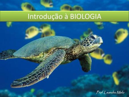 Introdução à BIOLOGIA Prof. Leandro Melo.
