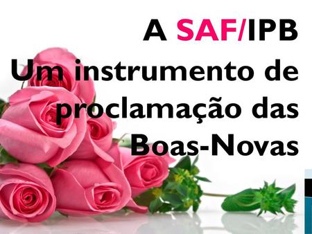 A SAF/IPB Um instrumento de proclamação das Boas-Novas.