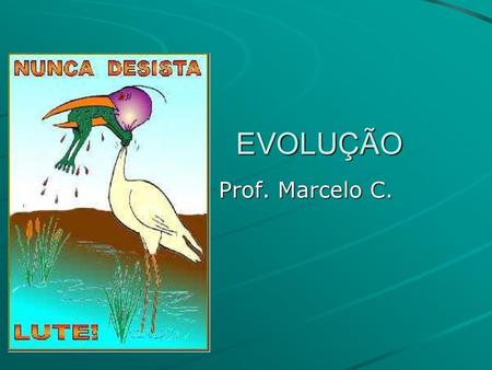 EVOLUÇÃO Prof. Marcelo C..