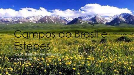 Campos do Brasil e Estepes