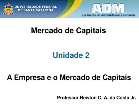 A Empresa e o Mercado de Capitais Professor Newton C. A. da Costa Jr.
