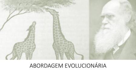 ABORDAGEM EVOLUCIONÁRIA